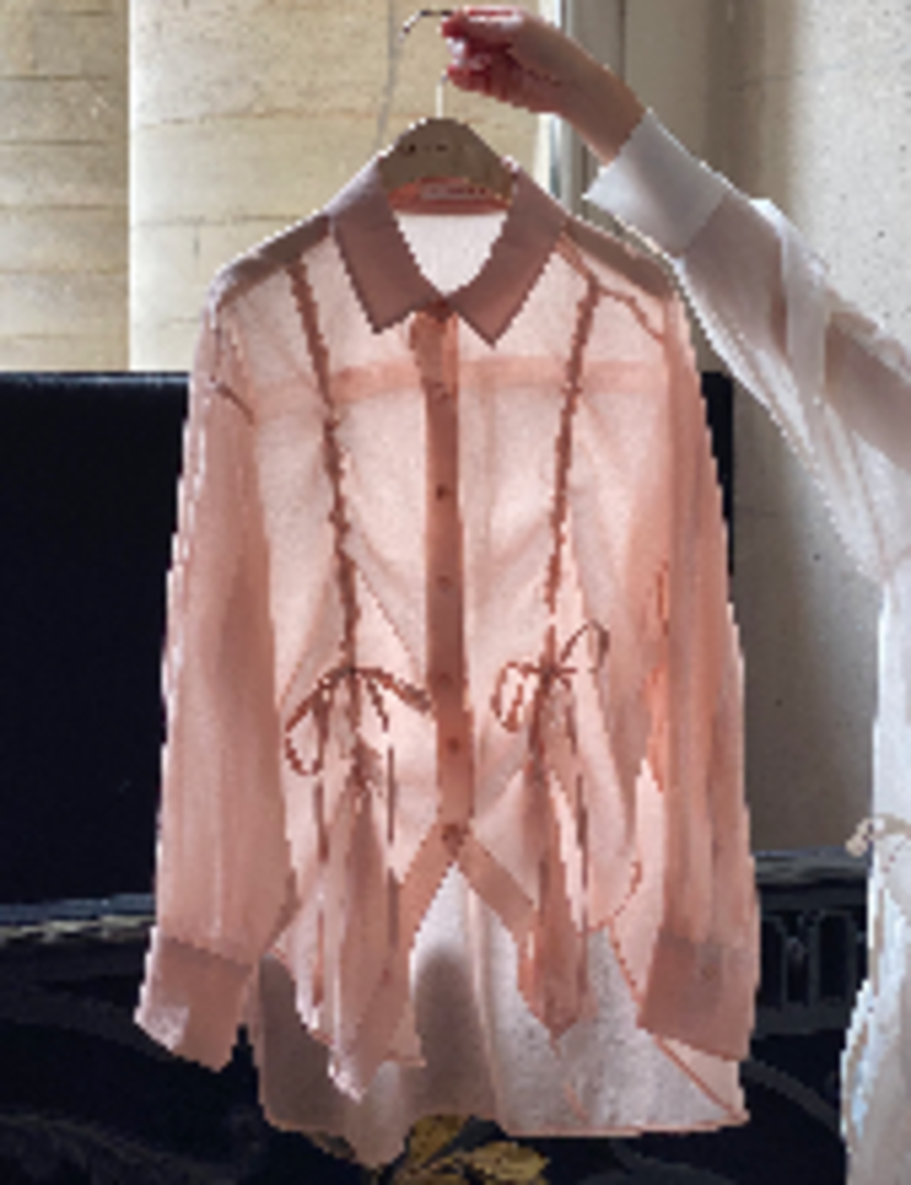 [줄리앤 데이지] Dreamy Organza Shirring Blouse_ Peach Pink